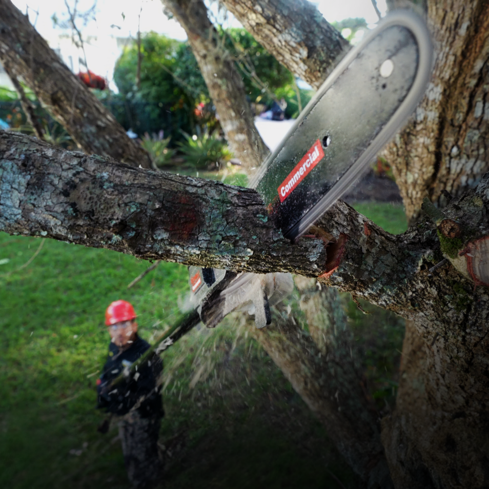 Kress Commercial 60 V 25 cm Stangensäge / Hochentaster KC330.9 - nur Gerät ohne Akku