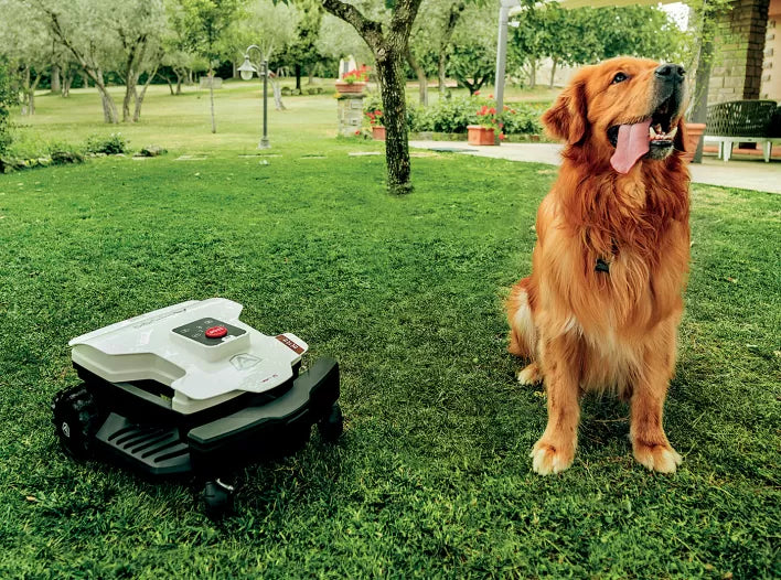 Ambrogio Twenty 25 Elite bis 1800 m² - Steigung: 45%