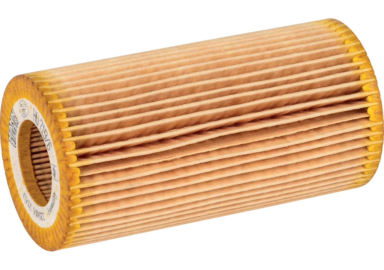 MANN Motorölfilter HU 719/6x MANN