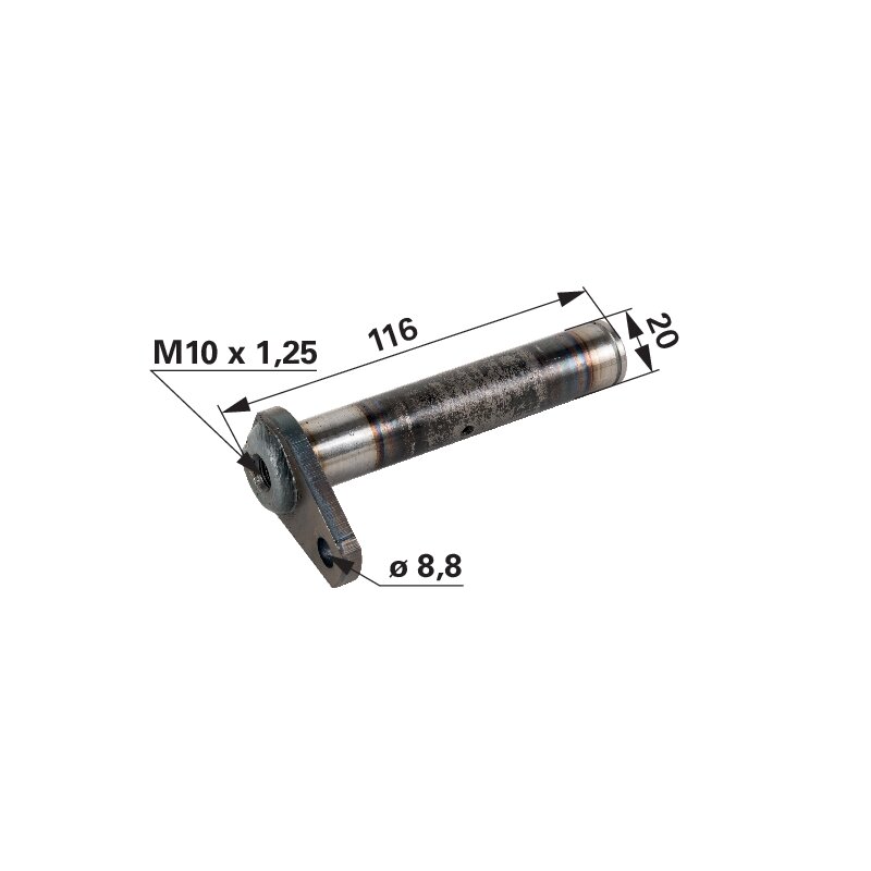 Bolzen 20 x 116 mm