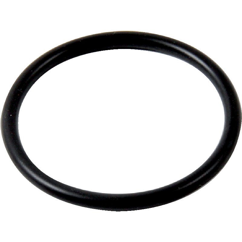 ZF O-Ring 42 x 3,5 mm