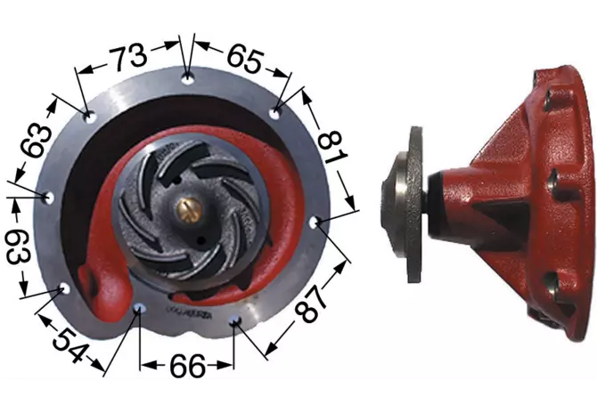 Wasserpumpe anstelle von Case IH 3136217R92 mit Laufrad ø 98 mm GartenShop24 - Hochwertige Gartengeräte