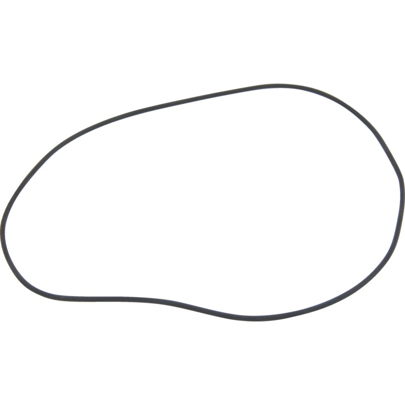 Dana Spicer O-Ring 202,87 x 2,62 mm 420763063