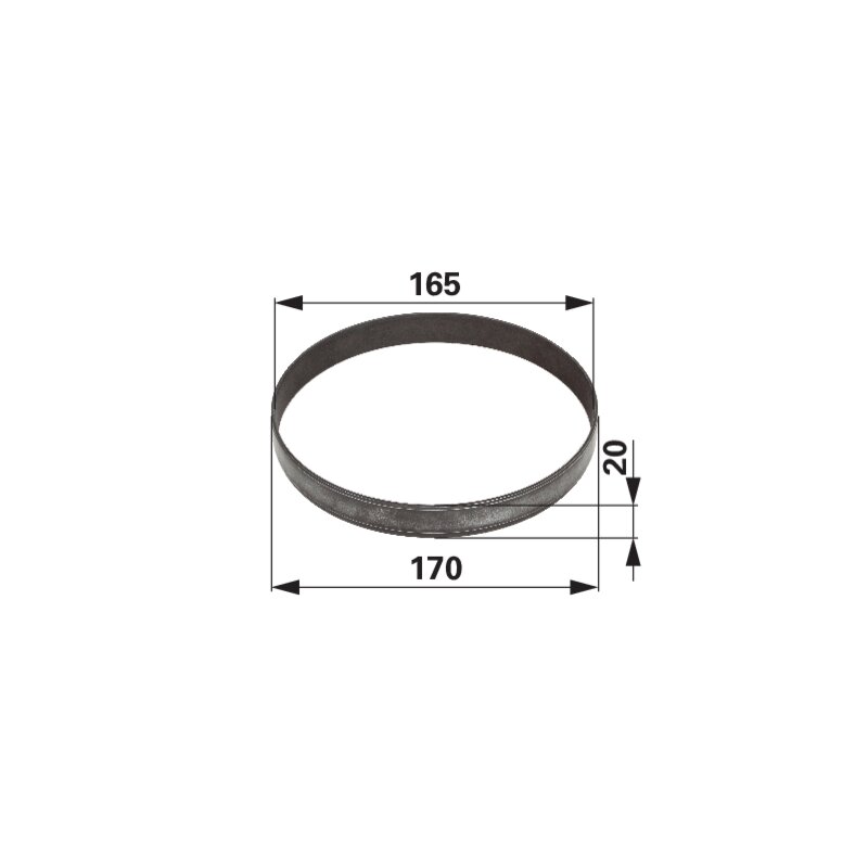 Dana Spicer Laufring 165 x 170 x 20 mm 135700411043
