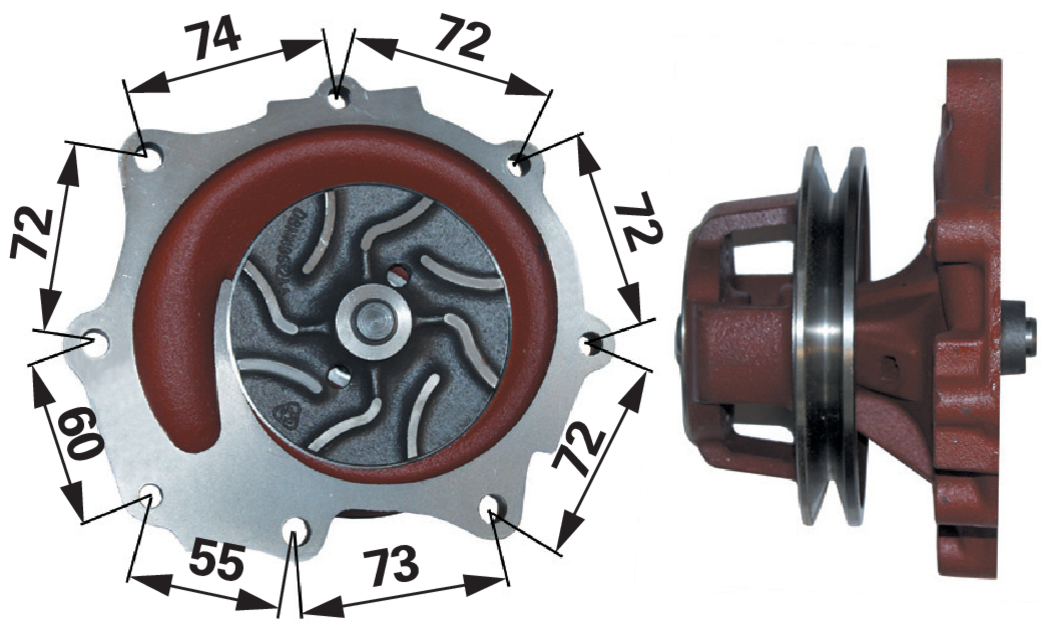 Wasserpumpe mit Dichtung anstelle von Ford EAPN8A513F GartenShop24 - Hochwertige Gartengeräte