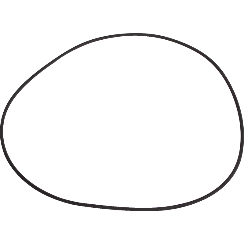 Dana Spicer O-Ring 113950
