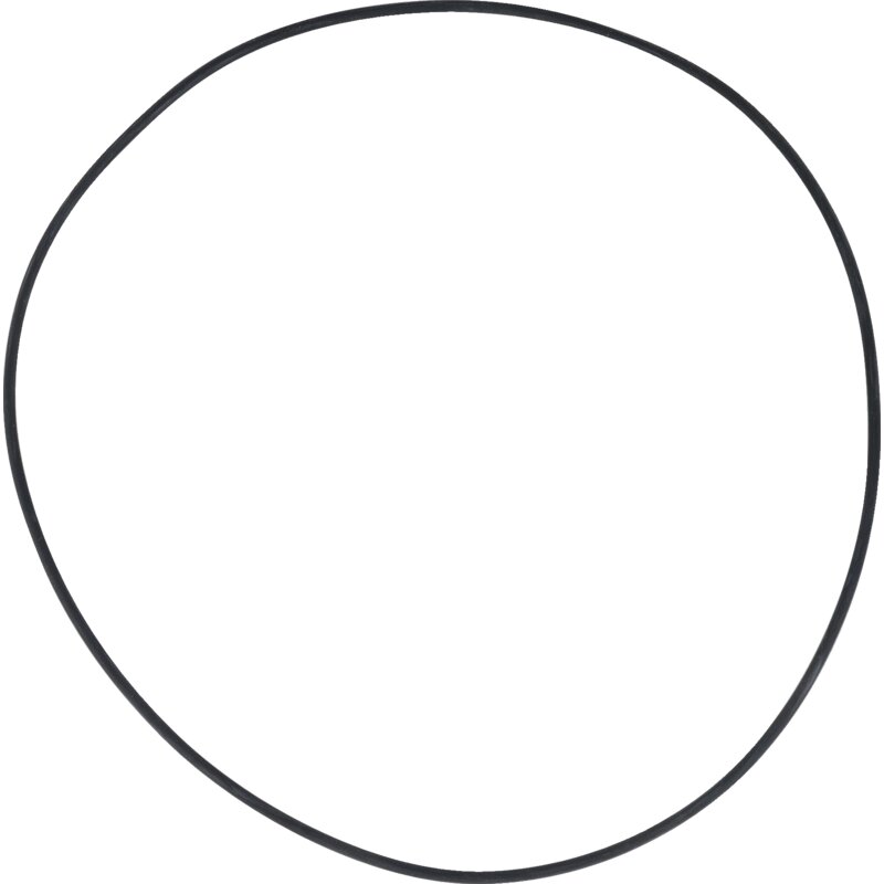 Dana Spicer O-Ring 183,82 x 2,62 mm
