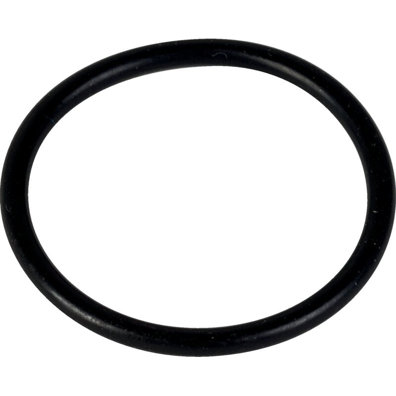 Carraro Achsen O-Ring