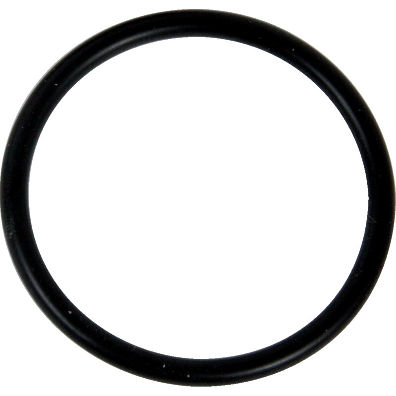 ZF Dichtring Bolzen