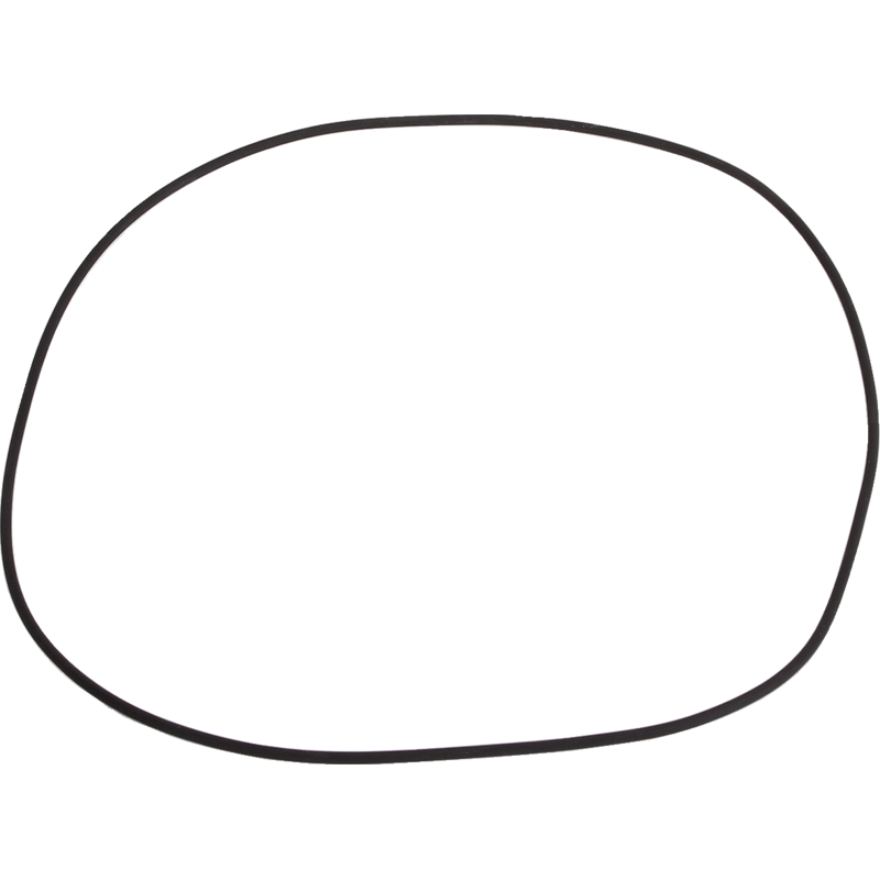 Dana Spicer O-Ring 202,87x2,62 420763063