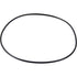ZF O-Ring 145 x 3 mm 80634303045