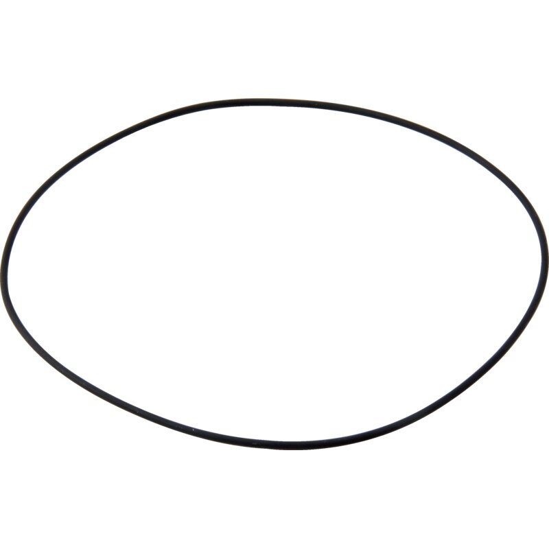 ZF O-Ring