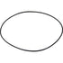 ZF O-Ring