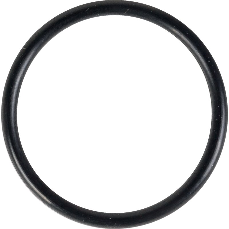 Dana Spicer O-Ring