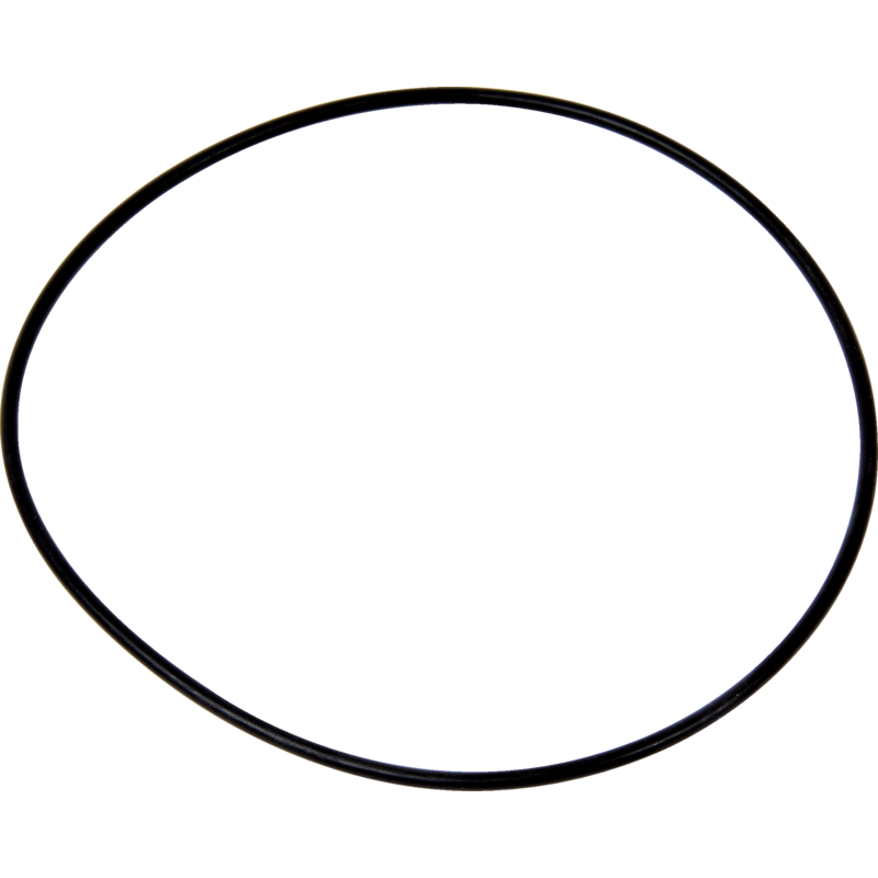 Massey Ferguson O-Ring 155 x 3,5 mm 394881
