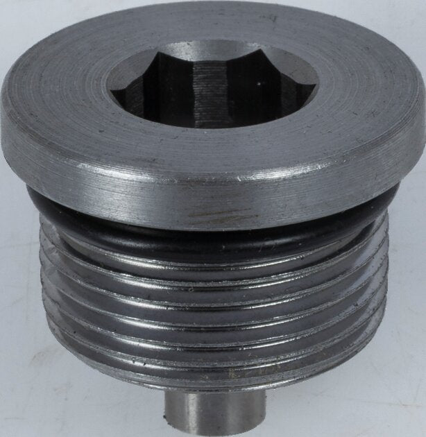 ZF Verschlussschraube anstelle von Fendt F743300020080 ZF