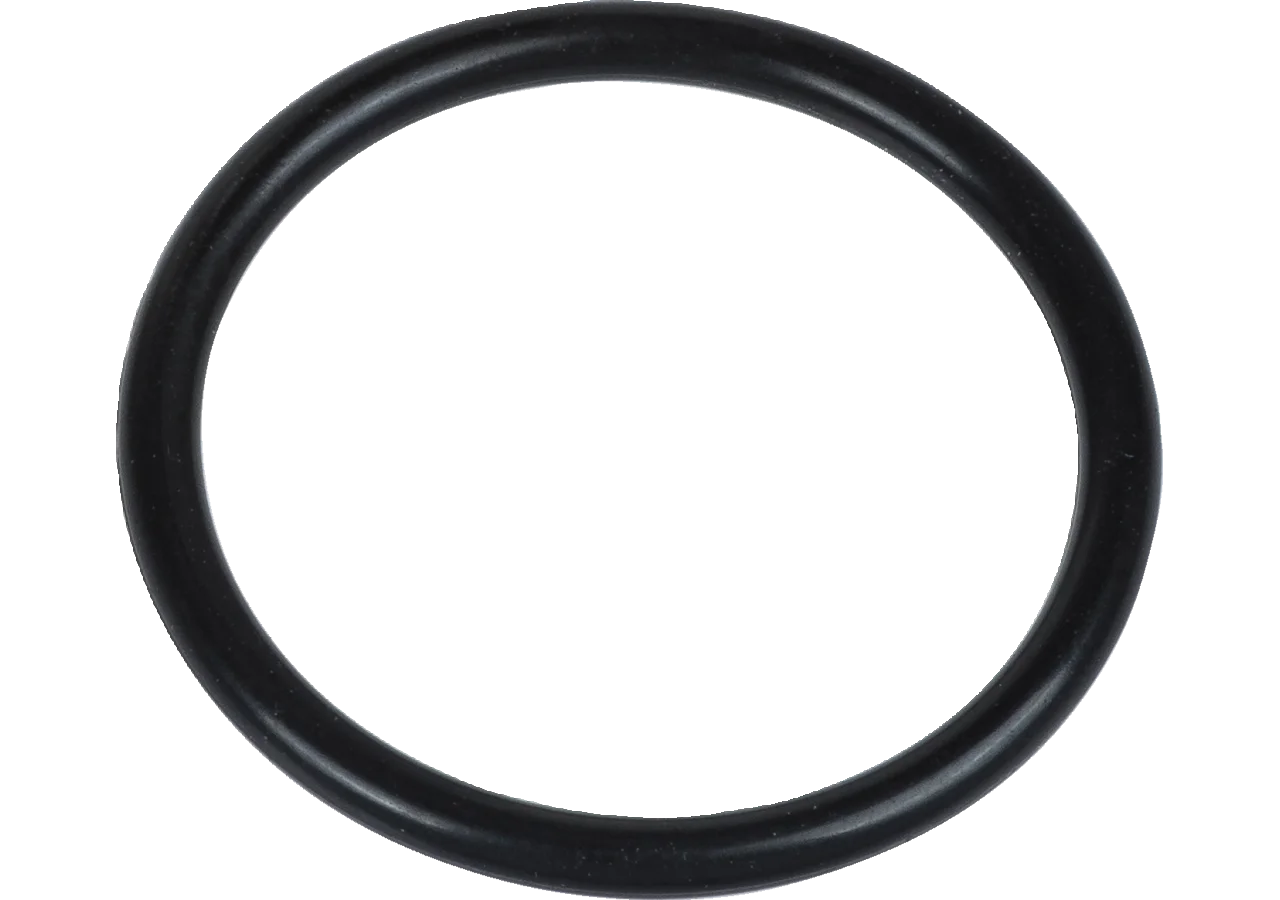 ZF O-Ring anstelle von Fendt X548864900000 ZF