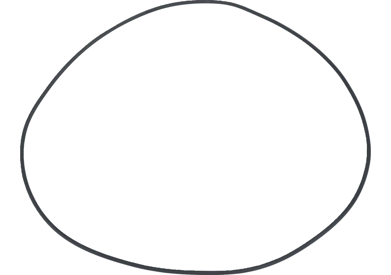 ZF O-Ring anstelle von Fendt F743300020210 ZF