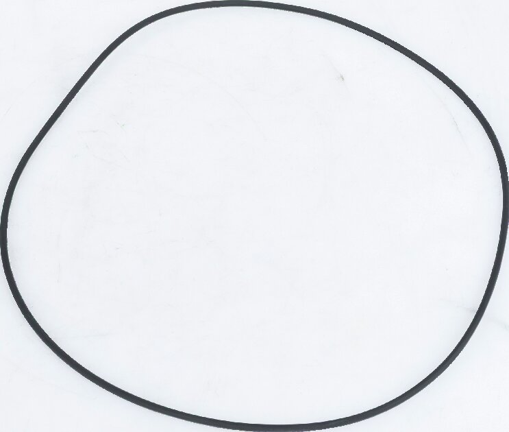 ZF O-Ring anstelle von Fendt F743300020060 ZF