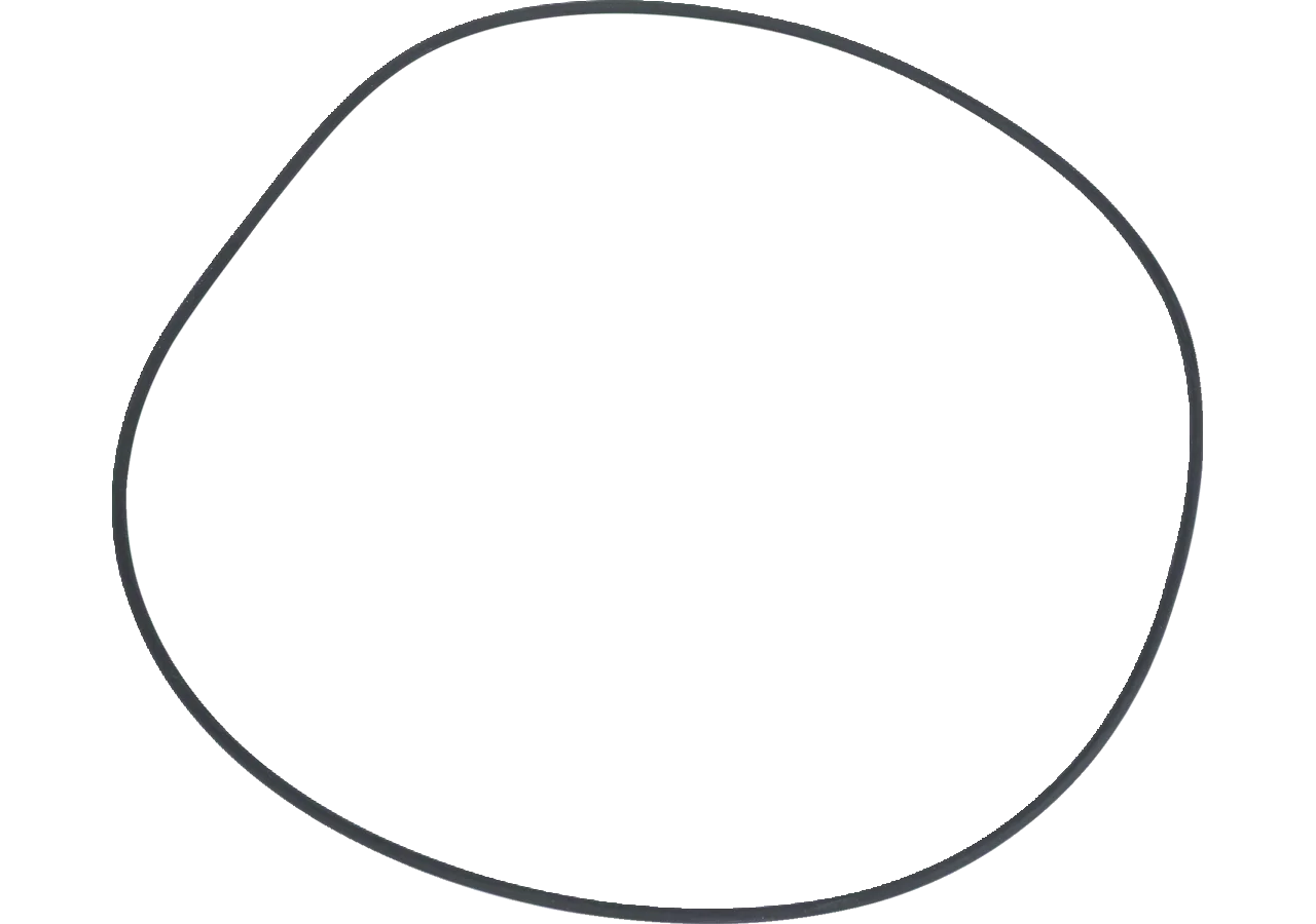 ZF O-Ring anstelle von Fendt F743300020060 ZF