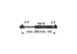 Gasdruckfeder für Dachlucke anstelle von CNH 47622039 GartenShop24 - Hochwertige Gartengeräte