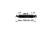 Stabilus Gasdruckfeder für Lenksäule ohne Auslösehebel – anstelle Deutz-Fahr 0.010.3701.1 Stabilus