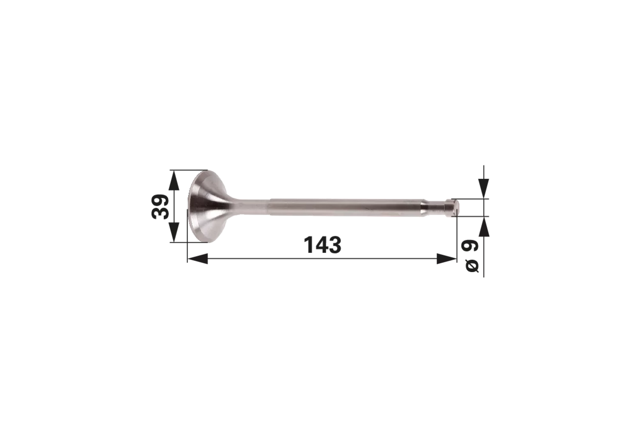 Einlassventil zu Steyr T190-T290 GartenShop24 - Hochwertige Gartengeräte