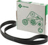 Ina Keilrippenriemen 10PK 1720 – passend für Deutz-Fahr 01183387 Ina