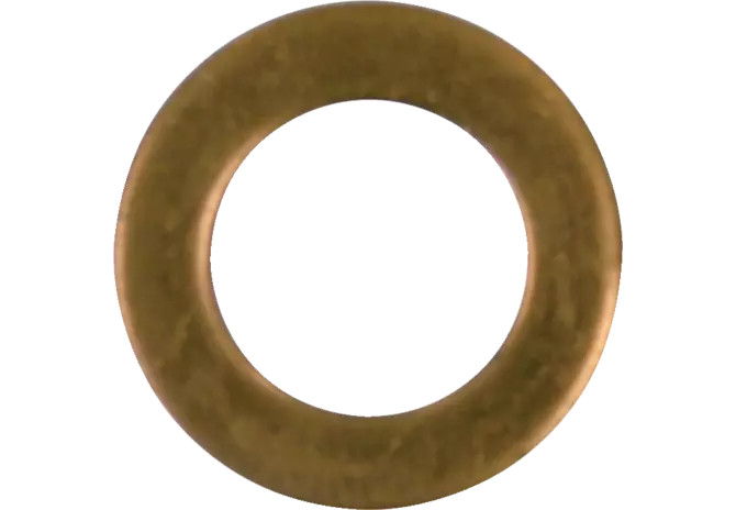Düsenring S = 1,0 mm, Iø = 11,2 mm, Aø = 18,8 mm anstelle von Steyr 1614080082 GartenShop24 - Hochwertige Gartengeräte