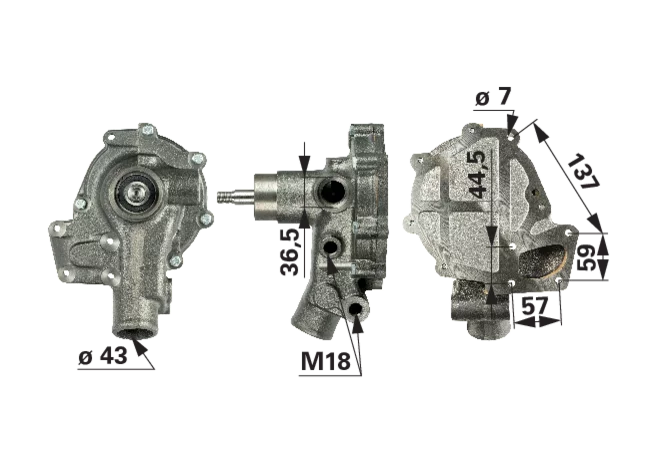 Wasserpumpe anstelle von Massey Ferguson V836864481 mit Dichtung GartenShop24 - Hochwertige Gartengeräte