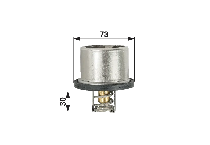 Thermostat anstelle von CNH 504096443 GartenShop24 - Hochwertige Gartengeräte