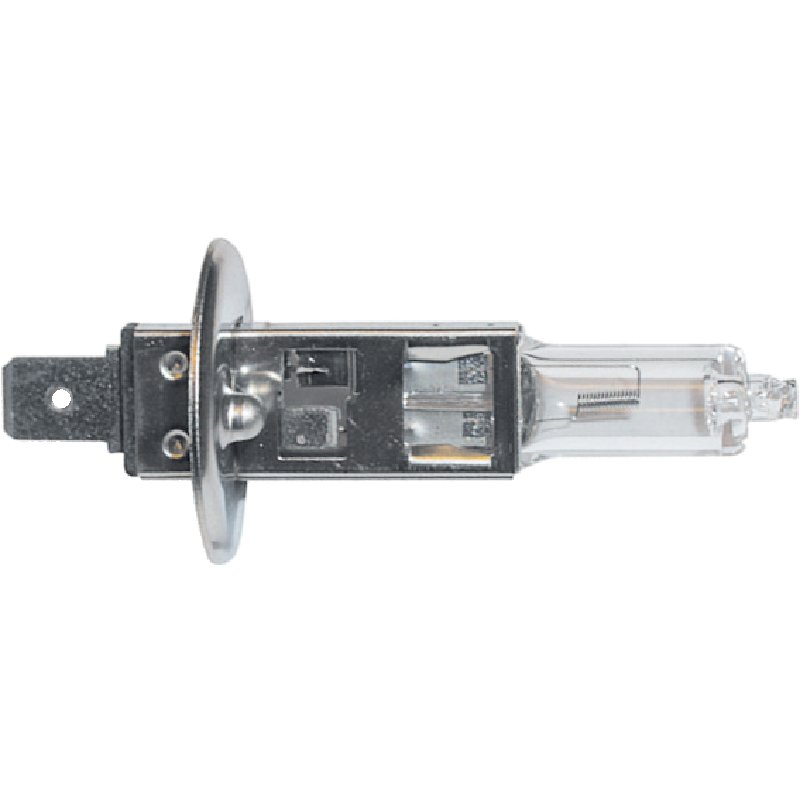 Halogenlampe H1, 12 V, 55 W, P14,5s, 10 Stück