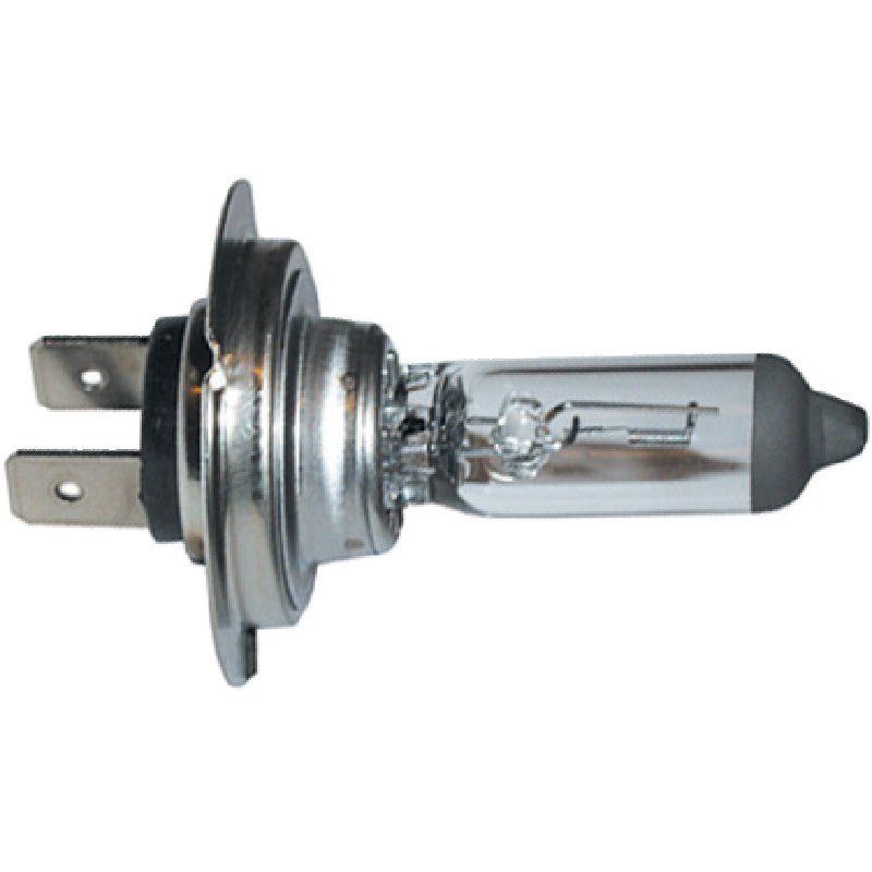 Halogenlampe H7, 12 V, 55 W, 10 Stück