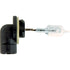 Halogenlampe für Arbeitsscheinwerfer 12 V, 37,5 W, PGJ13