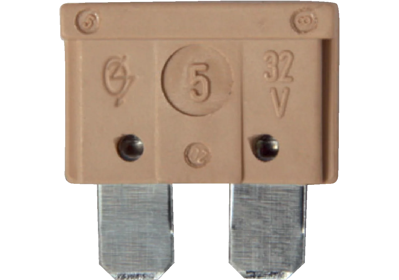 Flachstecksicherung Standard, 5 A, 50 Stück GartenShop24 - Hochwertige Gartengeräte