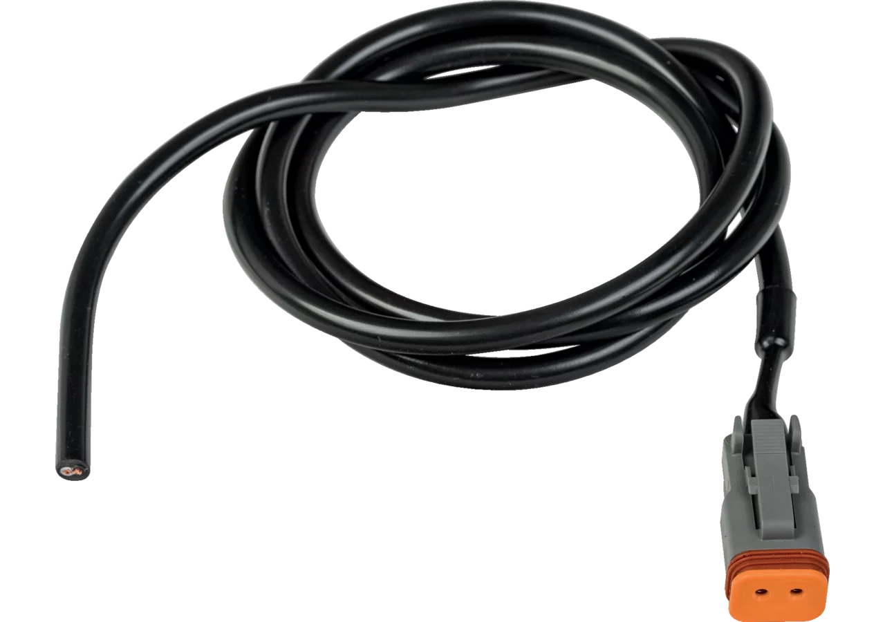 Anschlusskabel mit Deutschstecker, 1 m Serie DT WESEM