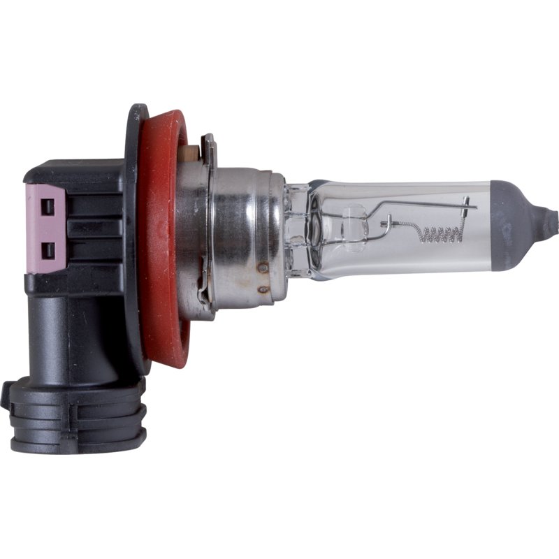 Halogenlampe H11, 24 V, 70 W, 1 Stück