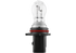 Kugellampe P13W, 12 V, 13 W, PG18,5D-1 Osram