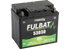 Fulbat Batterie 12V GEL 30Ah 53030, 550945 Fulbat