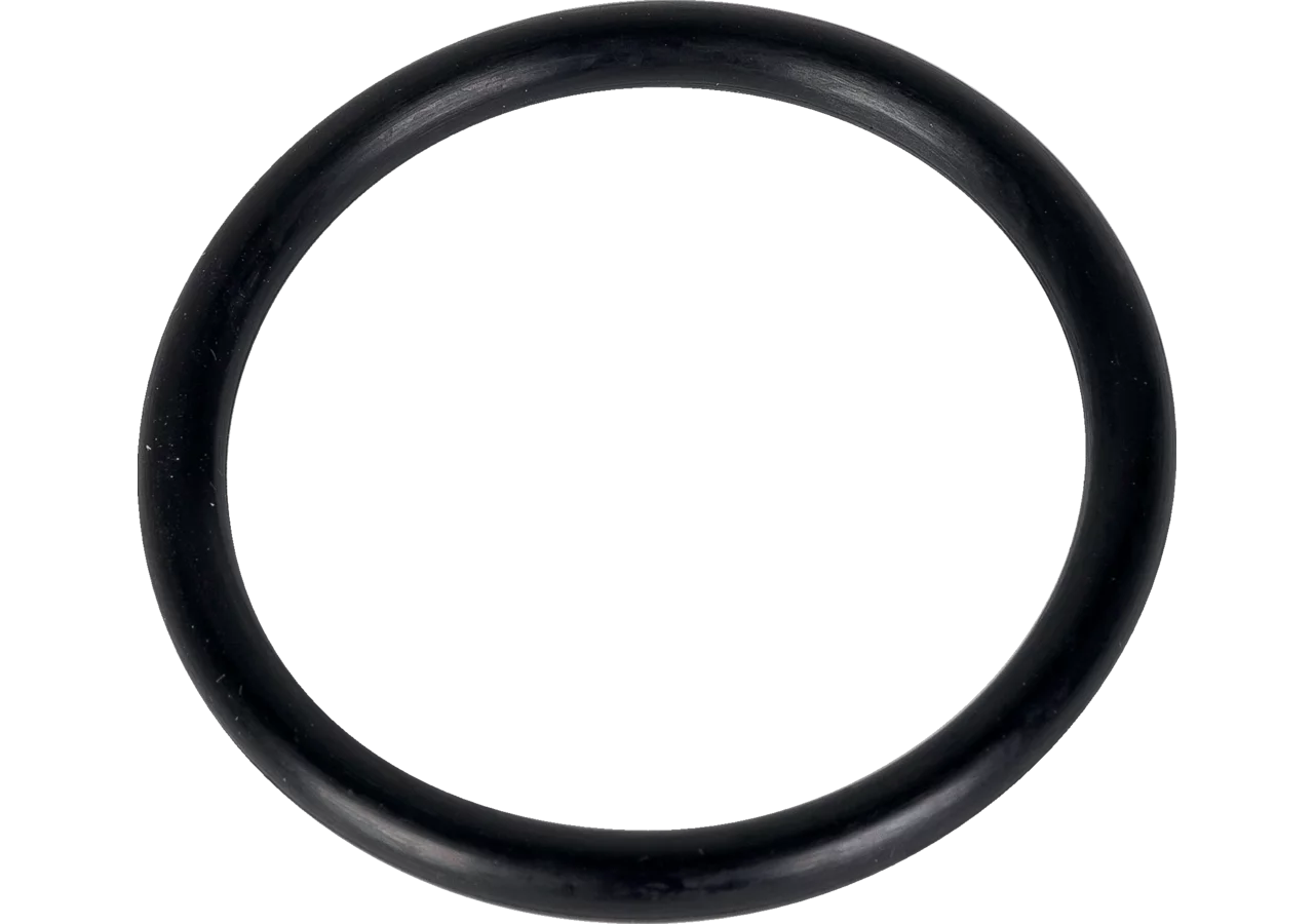O-Ring 54,2x5,7 mm GartenShop24