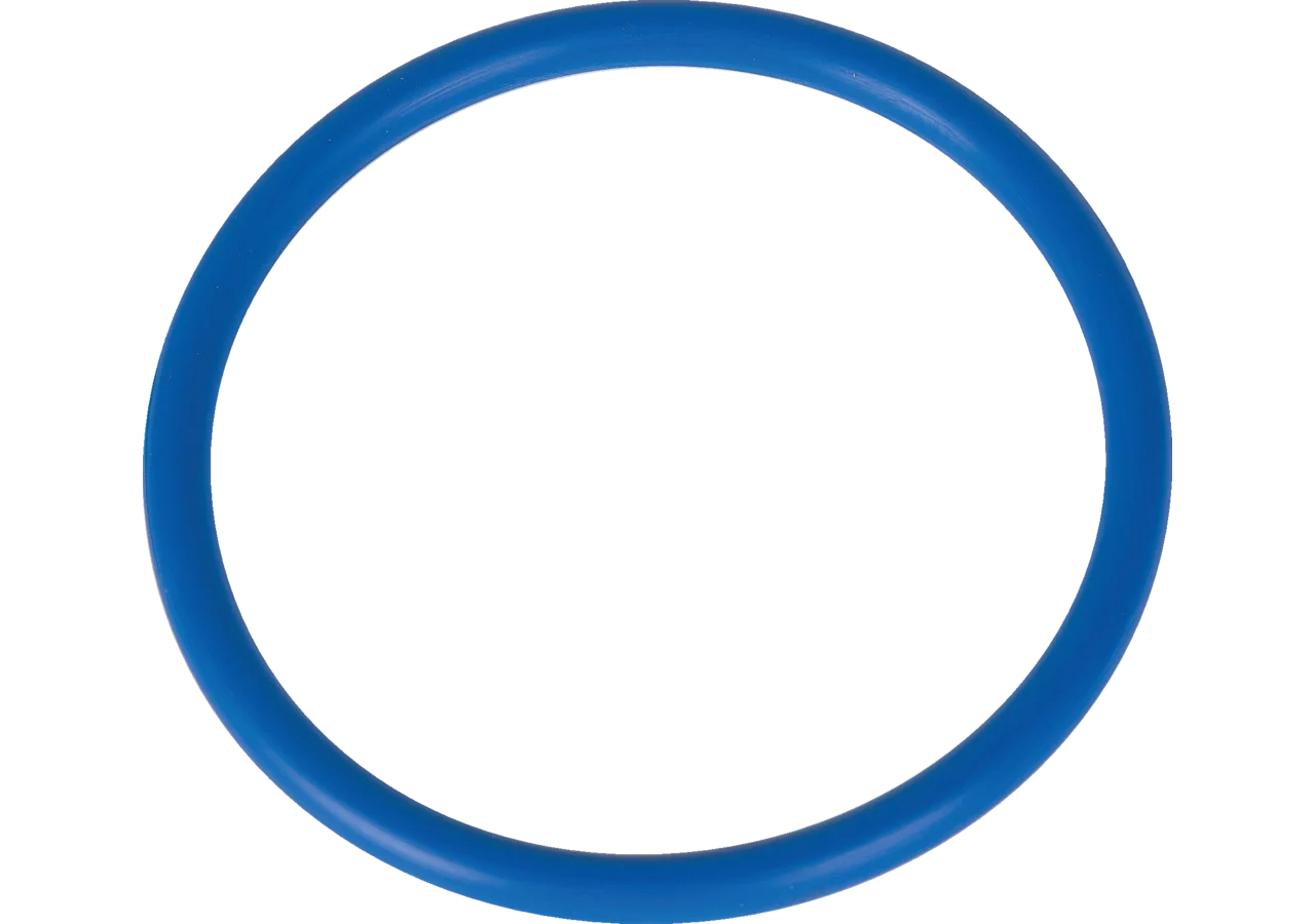 O-Ring für Kolben 74,2x5,7 mm GartenShop24