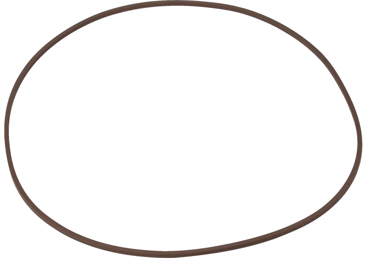 CNH O-Ring 5165511 CNH