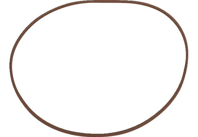 O-Ring anstelle von CNH 87699824 GartenShop24 - Hochwertige Gartengeräte