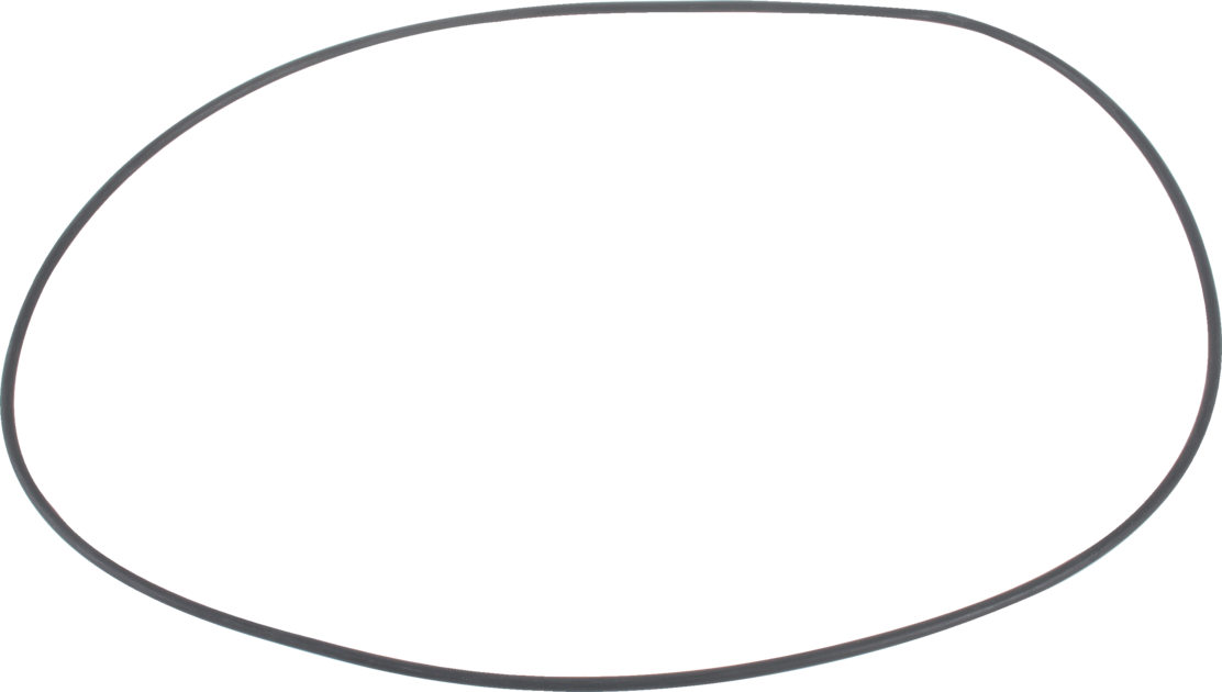 Dichtring für Bremskolben anstelle von Massey Ferguson 3617901M2 – ø 325 x 3,85 GartenShop24 - Hochwertige Gartengeräte