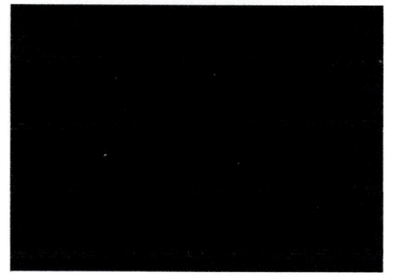Gummimatte 1400 x 1000 x 5 mm – Ethylen-Propylen-Kautschuk (EPDM) GartenShop24 - Hochwertige Gartengeräte