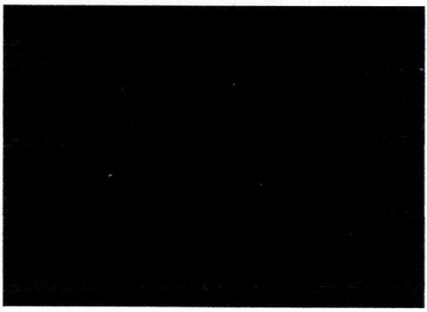 Gummimatte 1400 x 1000 x 5 mm – Ethylen-Propylen-Kautschuk (EPDM) GartenShop24 - Hochwertige Gartengeräte