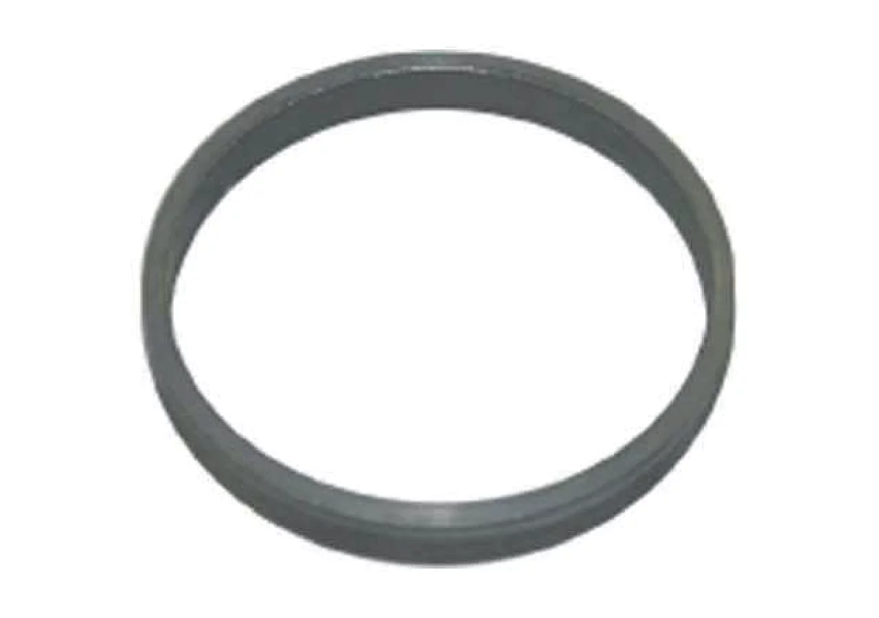 Druckring zu Sechlager – passend für Regent 013.06.06 GartenShop24