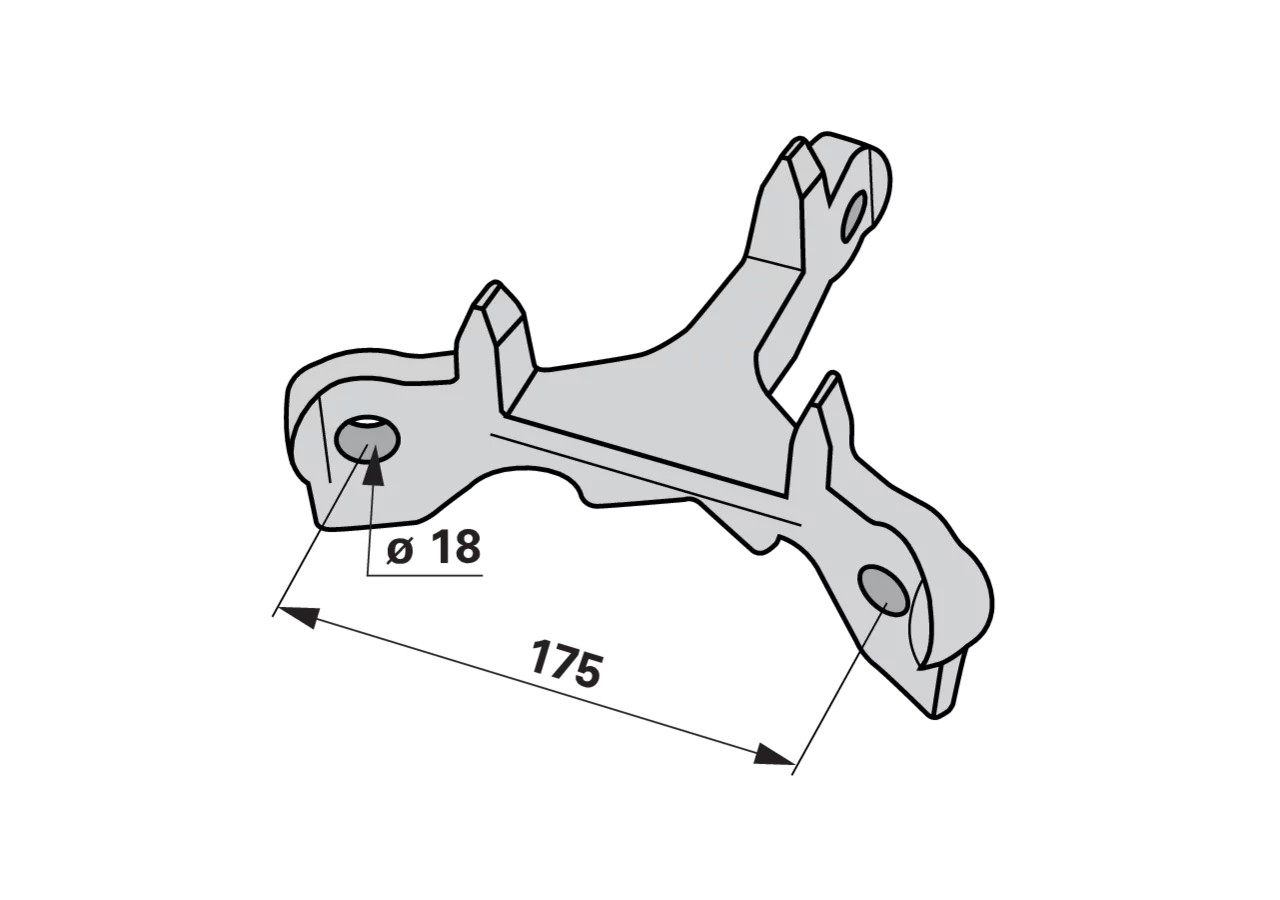 Wieseneggenstern mittel GartenShop24