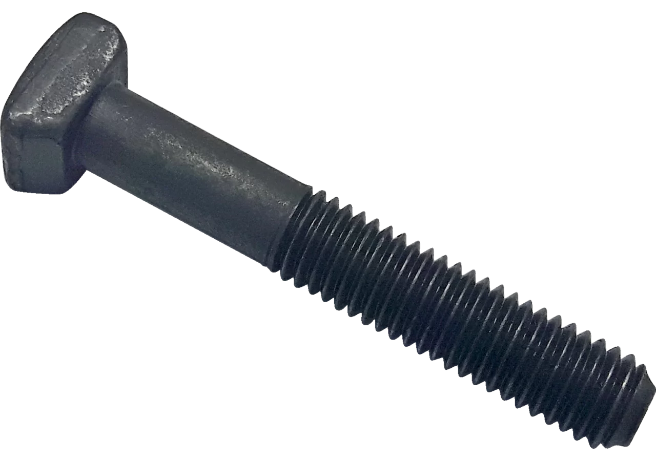 Hammerkopfschraube M10 x 60 mm, Güte 10.9, mit Mutter GartenShop24