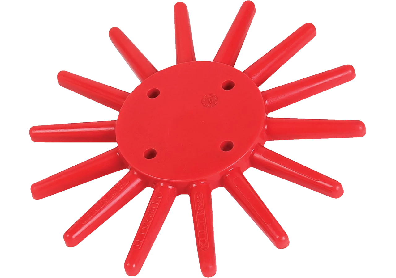 Fingerhackstern Rot, lose, 250 mm GartenShop24
